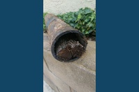 Small image of drain clog found during hydrojetting